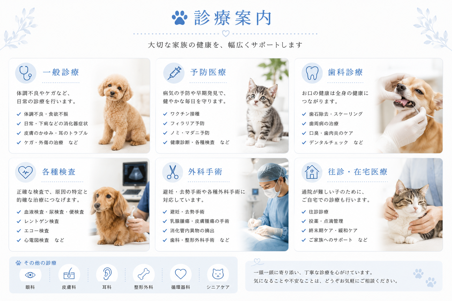 診療案内。一般診療、予防医療、歯科診療、各種検査、外科手術、往診・在宅医療。